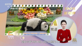男女猛烈无遮挡免费视频